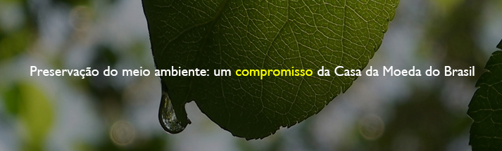 Conheça a missão, visão, política e ações da CMB
