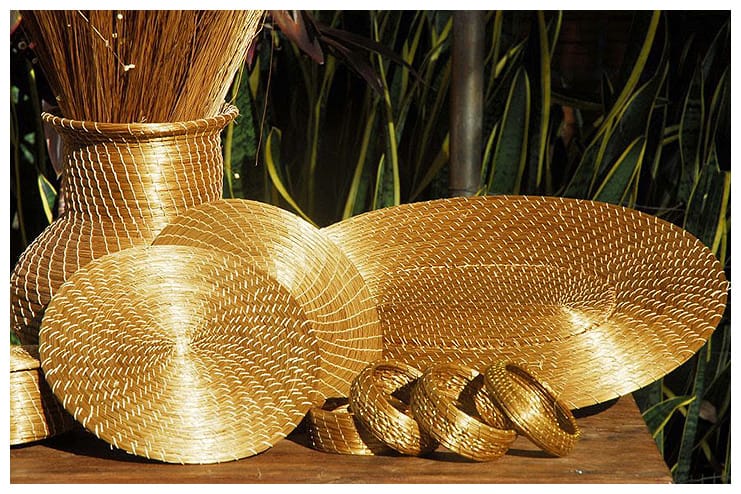 Capim dourado